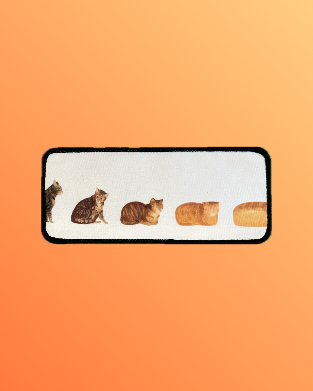 Cat to Bread Patch